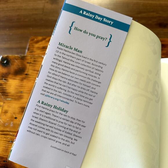 PJ Library A Rainy Day Story Rabbi Hanina ben Dosa Jewish Paperback Book - Picture 2 of 10